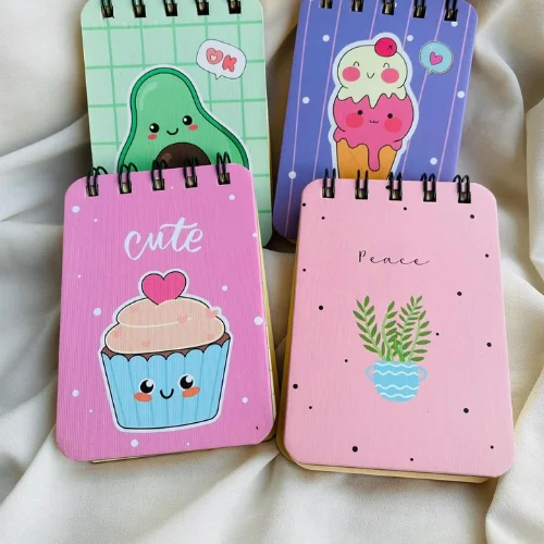 Notebooks/ Diaries