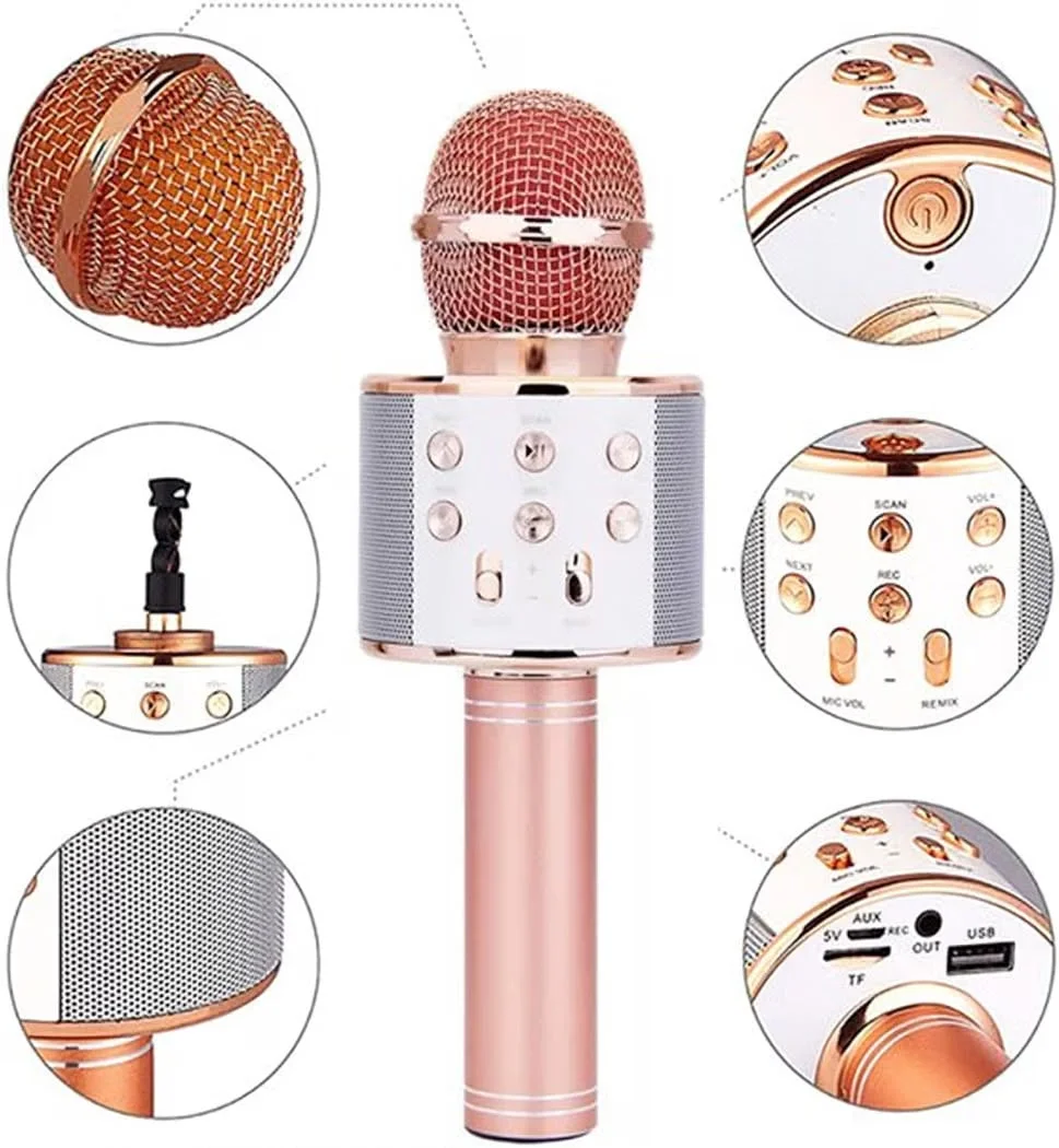 Karaoke with MIC